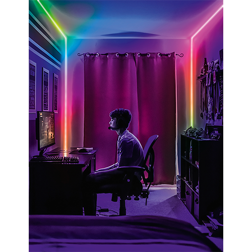 Neon LED strip with remote 2m, 2W/m, RGB, IP20, USB